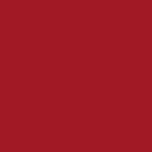 CROWN SHADES 10x10 Pop Up Canopy Tent - Patented Center Lock One Push Instant Outdoor Canopy Beach Tent with STO-N-Go Bag 8 Stakes & 4 Sand Bags，Red - style: Red