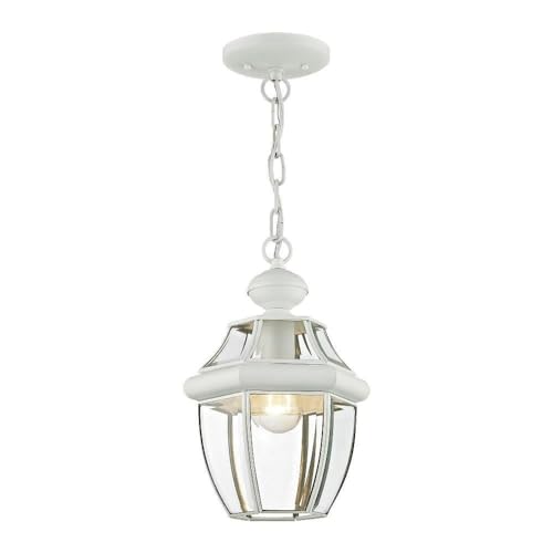 Livex Lighting 2152-03 Monterey 1-Light Outdoor Hanging Lantern, White - color: White