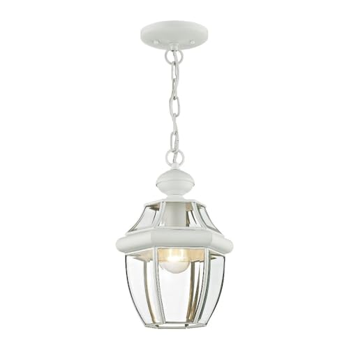 Livex Lighting 2152-03 Monterey 1-Light Outdoor Hanging Lantern, White - color: White