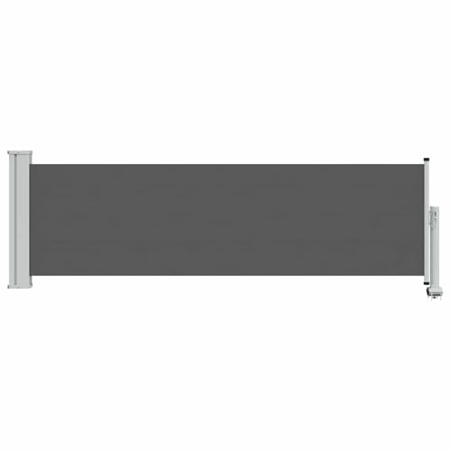 vidaXL Side Awning 100% polyester iron steel, Adjustable Awning, Garden Cover, Patio Barrier, Outdoor Curtain, Wind Protector, Privacy Screen, Modular, Sun Shield - color: Anthracite, size: 100 x 300 cm