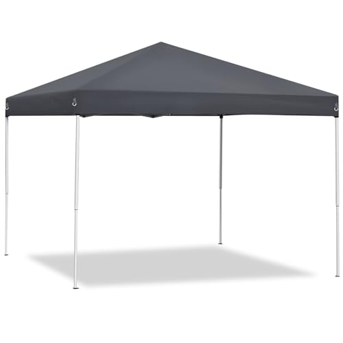 LEMY 10 x 10 FT Pop-Up Foldable Canopy Tent Pre-Assembled Adjustable Lightweight Heights Instant Waterproof Shelter with Wheeled Carry Bag (Grey) - color: Gray