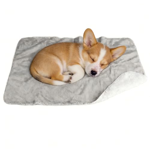 Kritter Planet Waterproof Small Dog Blanket, Soft Puppy Blanket,Washable Furniture Protector, Dog Blanket for Car,Reversible Sherpa Fleece Couch Cover for Small Pets - color: Light Grey, size: 20x30 Inches