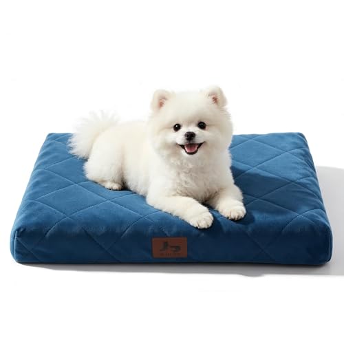 Orthopedic Dog Beds for Small Dogs, Washable Pet Bed Mat with Removable Cover, Waterproof Egg Crate Foam Puppy Bed Anti Slip, 23" x 18", NOT for Chewers - size: 23"L x 18"W x 3"Th