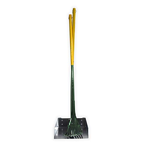 Four Paws Stainless Steel Long-Handled Dog Pooper Scooper Rake & Pan 2 Piece Set, Pet Waste Pickup Tool, 38" x 10" - size: Large, 9.5" x 10" x 38", style: Rake & Pan Set