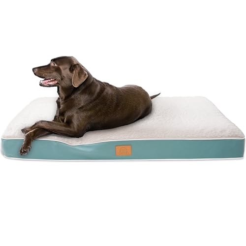 Sunheir Orthopedic Dog Beds for Small Dogs, Waterproof Puppy Bed with Removable Washable Cover, Non-Slip Bottom and Egg-Crate Foam, (Blue, 24.0" L x 16.0" W x 3.0" Th) - color: Blue, size: 24.0"L x 16.0"W x 3.0"Th
