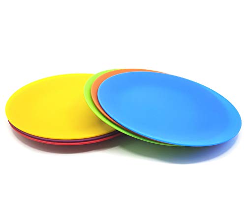KOXIN-KARLU 10-inch Dinner Plates, Reusable Plastic Plates for Picnic, Set of 12 Multicolor