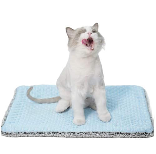 Two Uses'Cat Mat,Cooling&Self Warming Cat Mat.18 * 24in-Cooling Cat Pad.Hot/Cold Mat for Pets.Cats self Heating pad.Dogs and Cats with Ice Gel Bag,Temperature Lock Design,Machine Washable - color: Light Blue+Gel ice pack, size: Medium