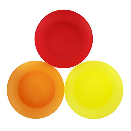 AOYITE 10 inch Plastic Plates Reusable - Lightweight Flat Dinner Plates set of 12 - BPA Free Dishwasher Safe & Microwave Plate for Kids Kitchen Party Camping Outdoor - color: Bright Multicolor