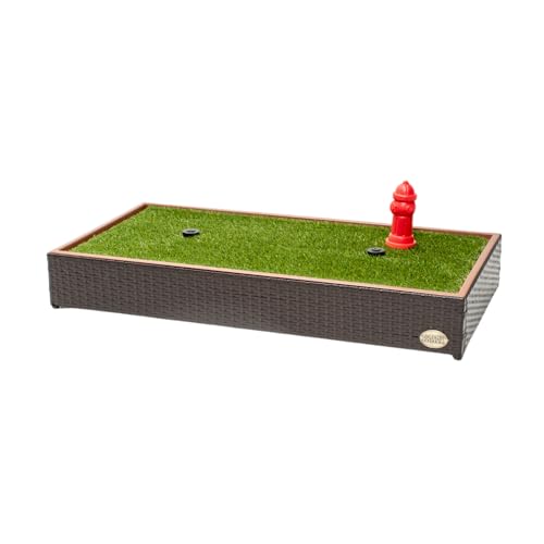 Porch Potty Premium with Spinklers, Outer Dimensions 26" x 50" x 7", Grass Area 8 Square Feet (4' x 2') - size: Premium