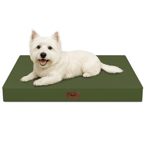 Outdoor Dog Bed for Small Dogs & Cats, Waterproof Dog Crate Mat Orthopedic Egg Crate Foam with Washable Removable Oxford Cover, Amy Green - color: Amy Green, size: 23.0"L x 17.0"W x 2.5"Th
