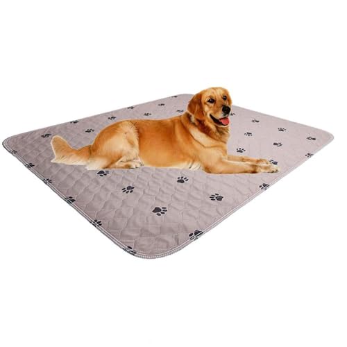 Washable Dog Pee Pads with Puppy Grooming Gloves,Puppy Pads,Reusable Pet Training Pads,Large Dog Pee Pad,Waterproof Pet Pads for Dog Bed Mat,Super Absorbing Whelping Pads - size: 24x48 Inch (Pack of 2)