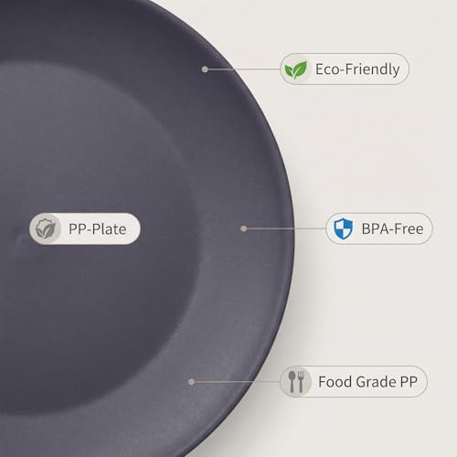 AOYITE Plastic Dinner Plates Reusable, Unbreakable Salad Plates set of 12, BPA Free Microwave & Dishwasher Safe Party Plate for Any Occasion, BBQ, Travel, Events - color: Neutral Tones