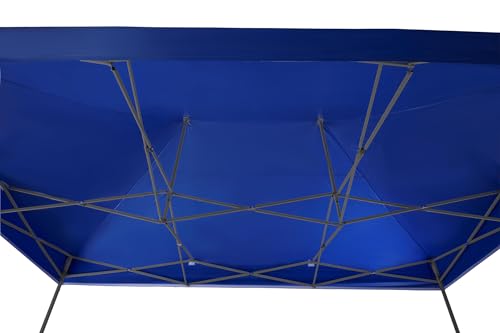 American Phoenix 10x15 Canopy Tent Pop Up Tents Canopy Portable Instant Canopies Outdoor Market Shade Shelter (10'x15' (Black Frame), Blue) - color: Blue