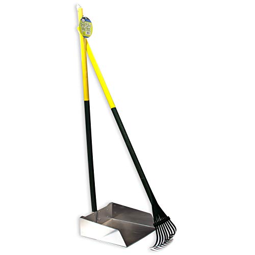 Four Paws Stainless Steel Long-Handled Dog Pooper Scooper Rake & Pan 2 Piece Set, Pet Waste Pickup Tool, 38" x 10" - size: Large, 9.5" x 10" x 38", style: Rake & Pan Set