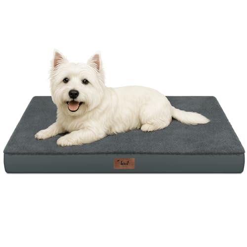 Comfort Dog Bed for Small Dogs & Cats, Waterproof Dog Crate Mat Orthopedic Egg Crate Foam with Washable Removable Cover, Gray - color: Dark Gray, size: 23.0"L x 17.0"W x 2.5"Th