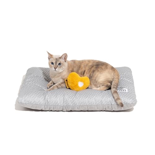 FUNNY FUZZY 2 in 1 Dog Bed Crate Pad Mat, Washable Reversible Floor Pet Mats,Fluffy Kennel Pad for Small Large Sized Dog,Indoor Cats,Sleeping Mattress, 23.6" × 17.9", Light Grey - color: Light Grey, size: 24"×18" Small