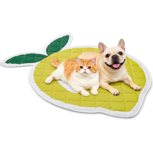 LOOBANI Dog Cooling Mat for Medium Large Dogs 50"x38"- Cute Lemon Design Cooling Mat for Dogs (Cool & Warm Side), Dog Cooling Pad for Crate, Floor, Car, Trip, Yellow 50"x38" - color: Lemon, size: 50"x38"