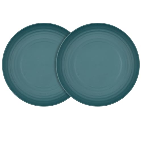 2Pack Wheat Straw Plates, 9Inch Unbreakable Dinner Plates, Reusable Plate for Camping,Picninc,Family Dinner, Dishwasher & Microwave(Deep Green) - color: Deep Green