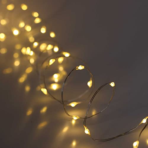 QBIS Warm White Fairy Lights Battery Operated With Timer Mode, 40 Micro LED for Mason Jars, 6.5ft Silver Wire Indoor Use - size: 1PK-40 Warm White
