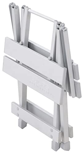 ALPS Mountaineering Sidekick Portable Stool or Side Table – Ultra Lightweight 2 lb Folding Camp Furniture with 200 lb Capacity, Aluminum Frame & Compact Carry-Bag for Camping, Tailgating, RV & Patio - color: Silver - New