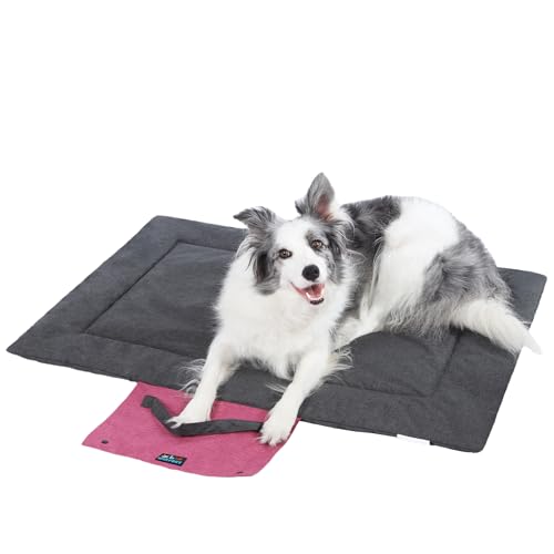 Outdoor Foldable Dog Mat Durable Teflon-Coated Oxford Material Waterproof Thin Dog pad Travel-Friendly Machine Washable Design for Camping/Car (Dark Grey, Medium (39.4 * 28.3 * 1.57 in)) - color: Dark Grey, size: Medium