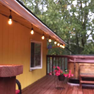 Rolay S14 Clear String Light Bulbs, 2W Plastic LED Replacement Bulbs for Outdoor Patio String Lights with E26 Base, Pack of 25 - color: Led-clear