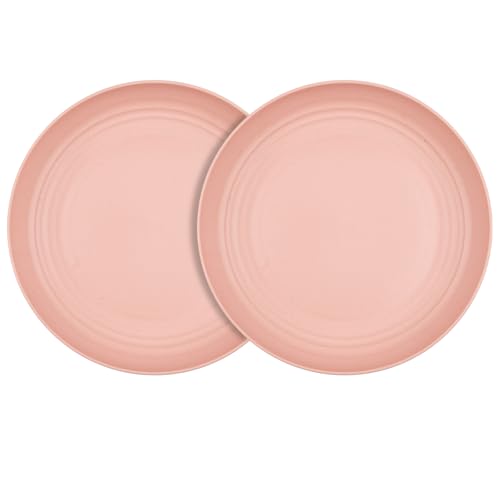 9 Inch Wheat Straw Plates, 2Pcs Reusable Dinner Plates, Wheat Straw Plate for Camping Kitchen(Color pink) - color: Pink