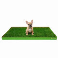 DoggieLawn Real Grass Puppy Pee Pads - Potty Training Pads for Dogs & Puppies - Indoor Grass Dog Potty for Apartments & Bad Weather - Natural Living Grass - XLarge 24 x 48 Inches - Made in USA - size: X-Large 24x48