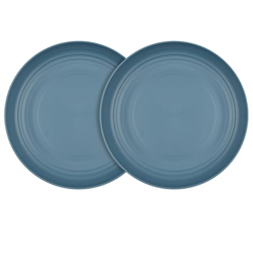 9 Inches Wheat Straw Plates, 2Pcs Unbreakable Dinner Plates, Reusable Plate,Deep Blue - color: Deep Blue