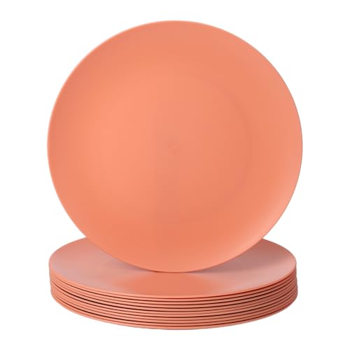 12-Pack 9.8 Inch Plastic Salad plates,Lightweight Unbreakable Dinner plate for Daily Use, Microwave & Dishwasher Safe Plates,Plastic Plates for Camping, Outdoor, food, Fruit (Orange) - color: Orange, size: 9.8 Inch