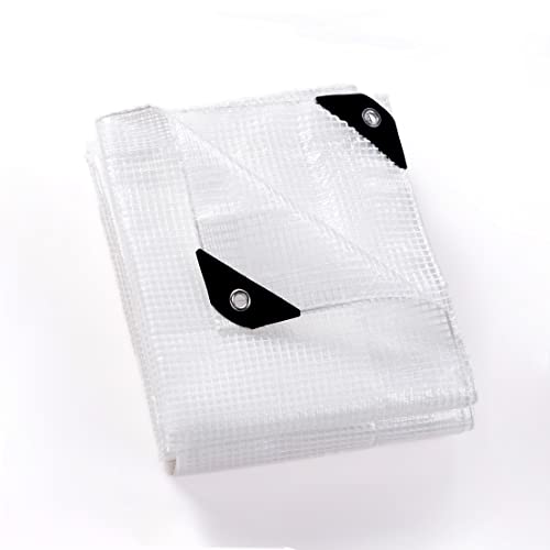 GUARD SHIELD Clear White Tarp Heavy Duty 8x20 Feet Waterproof for Greenhouse Outdoor Garden Poly Cover UV Resistant 3x3 Weave 10mil - color: Clear Leno / White, size: 8x20