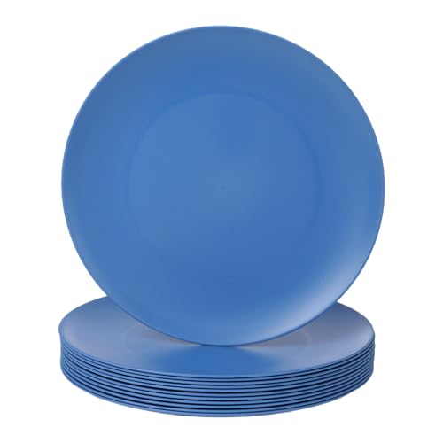 12-Pack 9.8 Inch Plastic Salad plates,Lightweight Unbreakable Dinner plate for Daily Use, Microwave & Dishwasher Safe Plates,Plastic Plates for Camping, Outdoor, food, Fruit (Blue) - color: Blue, size: 9.8 Inch