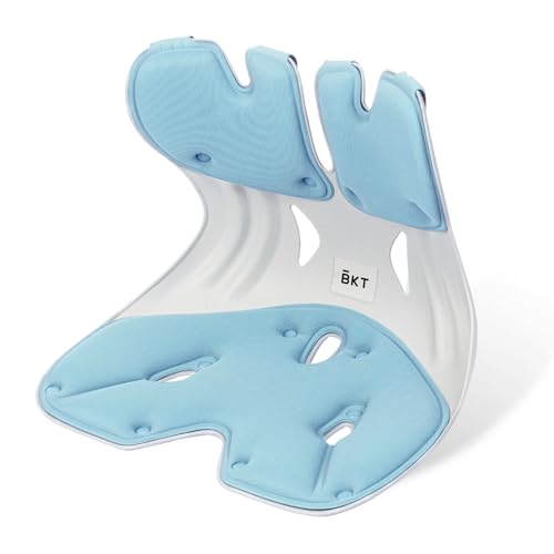 BKT Seat Cushion Chair Ergonomic Office Chair Cushions Lumbar Support for Seat Pillow Ideal for Students Office Workers Nursing Mothers Long Sitting Outdoor Fishing Floor - color: L-sky Blue