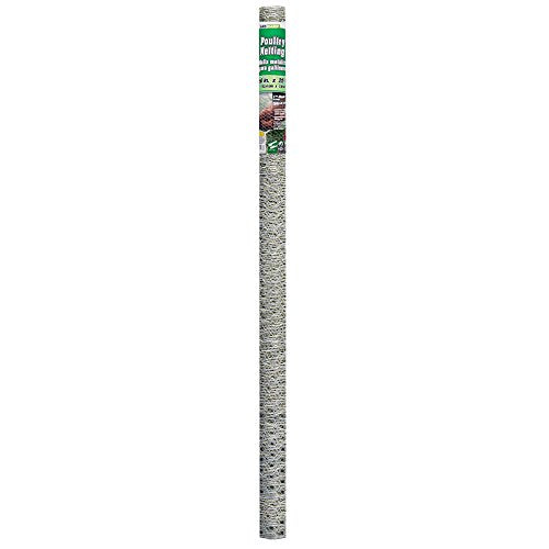 YARDGARD 1 Inch Poultry Netting, Chicken Wire Fence, 20 Gauge Galvanized Steel, Rabbit Fencing, Bird Enclosures, Garden Protection and Plant Support, 60 Inches x 25 Feet - size: 60 Inches x 25 Feet