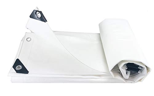 Alion Home Heavy Duty 12 Mil Poly Tarps Waterproof Covers for Tarpaulin Canopy, Camping, Carport, Boat, Furniture, Floors, RV, Pool or Roof Repair Items (12x16 ft, White) - color: White, size: 50x100 ft