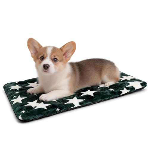Washable Dog Bed Mat with Anti-Slip Bottom, Deluxe Plush Memory Foam Crate Pad & Waterproof Outdoor Kennel Mat for Dogs & Cats-Durable Crates Beds, Large Medium Small Puppy Size24 x 18",Green - color: Green-Star, size: Upgraded S（24" L x 18" W x 1.5" Th）