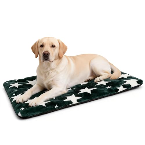Washable Dog Bed Mat with Anti-Slip Bottom, Deluxe Plush Memory Foam Crate Pad & Waterproof Outdoor Kennel Mat for Dogs & Cats-Durable Crates Beds, Large Medium Small Puppy Size36 x 24",Green - color: Green-Star, size: Upgraded L（36" L x 24" W x 1.5" Th）