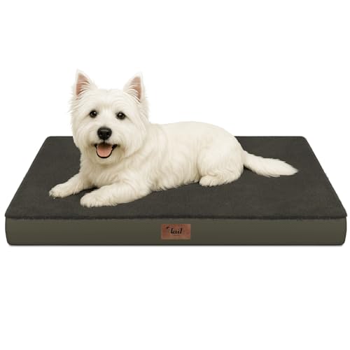 Comfort Dog Bed for Small Dogs & Cats, Waterproof Dog Crate Mat Orthopedic Egg Crate Foam with Washable Removable Cover, Coffee - color: Coffee, size: 23.0"L x 17.0"W x 2.5"Th