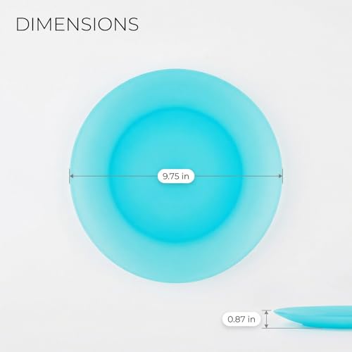 AOYITE 10 inch Plastic Plates Reusable - Lightweight Flat Dinner Plates set of 12 - BPA Free Dishwasher Safe & Microwave Plate for Kids Kitchen Party Camping Outdoor - color: Bright Multicolor