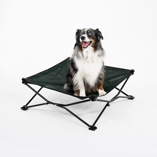 Coolaroo On-The-Go Elevated Dog Bed - Foldable Pop-Up Travel Dog Bed with Breathable, Moisture-Resistant Fabric, Carry Bag Included, Lightweight & Portable, Brunswick Green, Medium - color: Brunswick Green, style: Medium