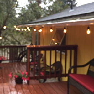 Rolay S14 Clear String Light Bulbs, 2W Plastic LED Replacement Bulbs for Outdoor Patio String Lights with E26 Base, Pack of 25 - color: Led-clear