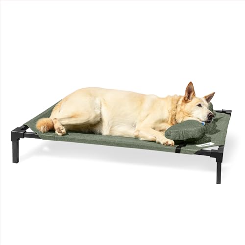 Coolaroo Pro Elevated Dog Bed with HeatShield Fabric – Advanced Cooling Raised Cot for Small & Medium Breeds, Easy-Clean, Low-to-Ground Access, Bonus Bolster Pillow – Everglade Green - color: Everglade Green, size: Medium