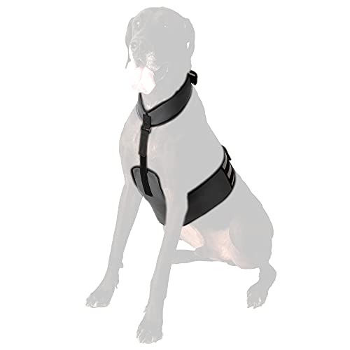 CoolerDog Dog Cooling Vest & Cooling Collar – Ice Vest for Hot Weather Heat Relief, Re-Freezable Pure Water Inserts (X-Large 34”–40” Girth) - size: XL
