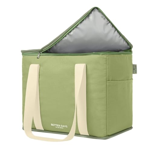 Nook Theory Reusable Insulated Grocery Bag - Leak Proof, X Large Cooler Bag - Insulated Shopping Bags for Groceries - Travel Cooler Bag for Frozen and Hot Food with Zippered Top (Sage) - color: Sage Cream