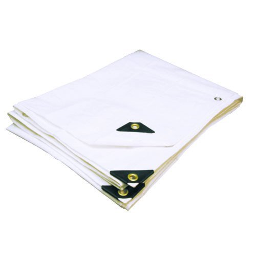 30'X60' Extra Heavy Duty 12 mil (White) Tarp 3 Ply Coated Reinforced Canopy 6 oz 3 Layer (Includes Tarps Tools and Toys Maintenance Manual)