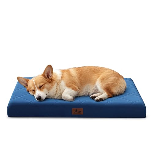 Orthopedic Dog Beds for Medium Dogs, Washable Pet Bed Mat with Removable Cover, Waterproof Egg Crate Foam Puppy Bed Anti Slip, 30" x 20", NOT for Chewers - size: 30"L x 20"W x 3"Th