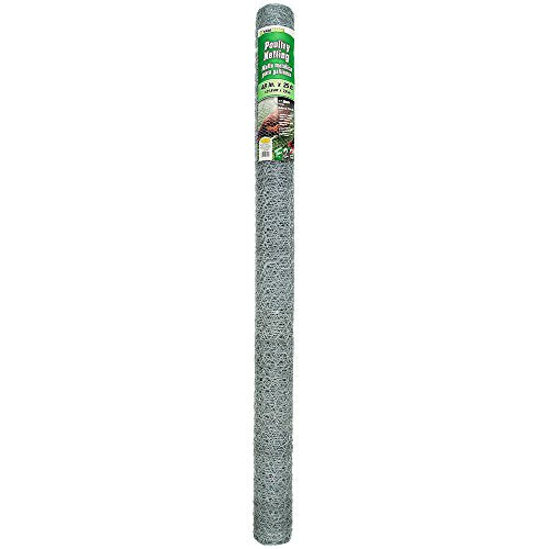 YARDGARD 1 Inch Poultry Netting, Chicken Wire Fence, 20 Gauge Galvanized Steel, Rabbit Fencing, Bird Enclosures, Garden Protection and Plant Support, 48 Inches x 25 Feet - size: 48 Inches x 25 Feet