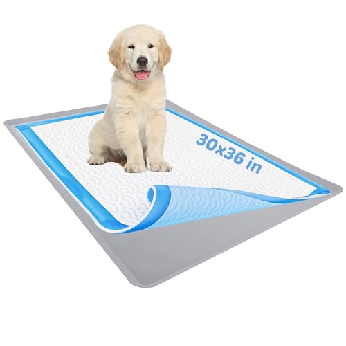 TidyFriend Dog Pee Pad Holder Tray Fits Up to 30” x 36” Wee Wee Pee Pads - Stable Grip, Raised Edges, Quick-Wipe Silicone Surface Dog Potty Tray Holder for Indoor Flooring Protection (Light Grey) - color: Light Grey, size: 1 Pack