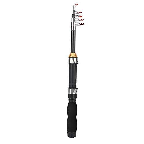 Fishing Rod, Universal Mini Small Sea Pole Portable Short Pole Ice Fishing Rod Mini Pocket Sea Fishing Tools for Ice Fly Fishing Sea Saltwater Kit Gift for Festivals - size: 1.2m