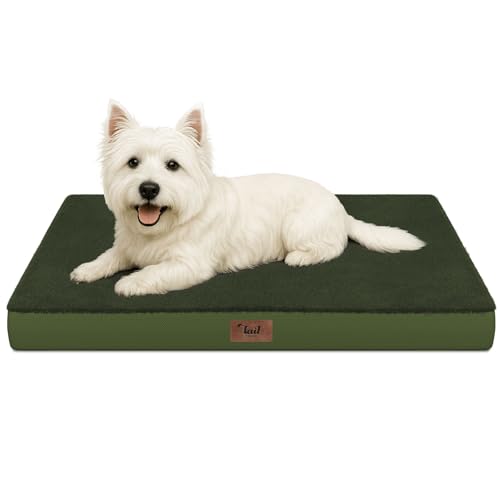 Comfort Dog Bed for Small Dogs & Cats, Waterproof Dog Crate Mat Orthopedic Egg Crate Foam with Washable Removable Cover, Olive Green - color: Olive Green, size: 23.0"L x 17.0"W x 2.5"Th